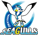 Okayama Seagulls